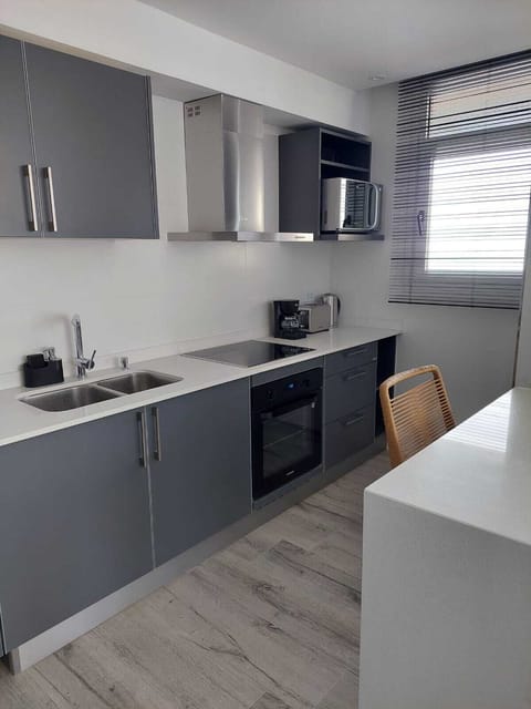 Deluxe Apartment | Private kitchen | Full-size fridge, microwave, oven, electric kettle