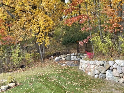Backyard autumn view.