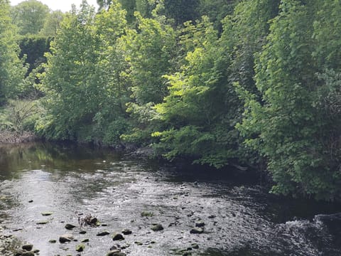 Glenarm River
