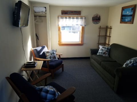 Bear Cave Cabin | Living area | Flat-screen TV, DVD player