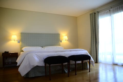 Standard Room | Down comforters, iron/ironing board, free WiFi, bed sheets