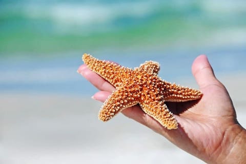 Easy walk to our beaches and bay!