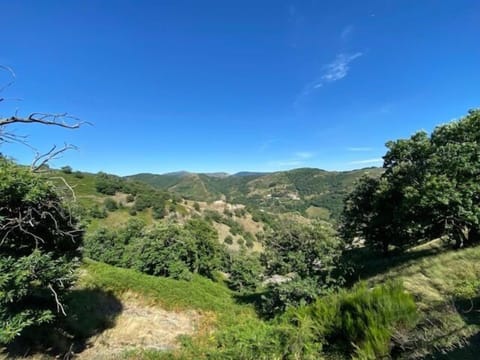 00e075a2-9a92-476c-a086-15bc8ae11b7a