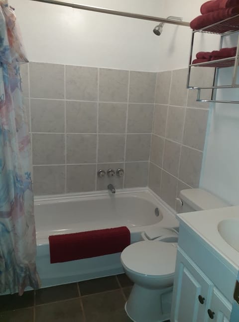 Comfort Studio, 1 Bedroom, Mountain View | Bathroom | Combined shower/tub, deep soaking tub, hair dryer, towels
