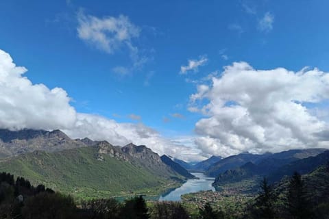 Region [summer] (&gt;5 km)