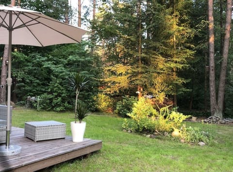 Area that directly surrounds the property