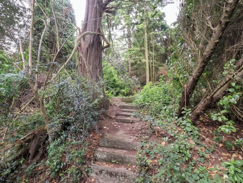 Cottage | Property grounds