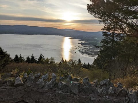 House | Miscellaneous