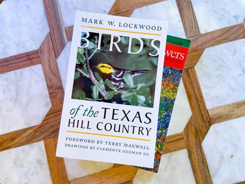 Texas themed books