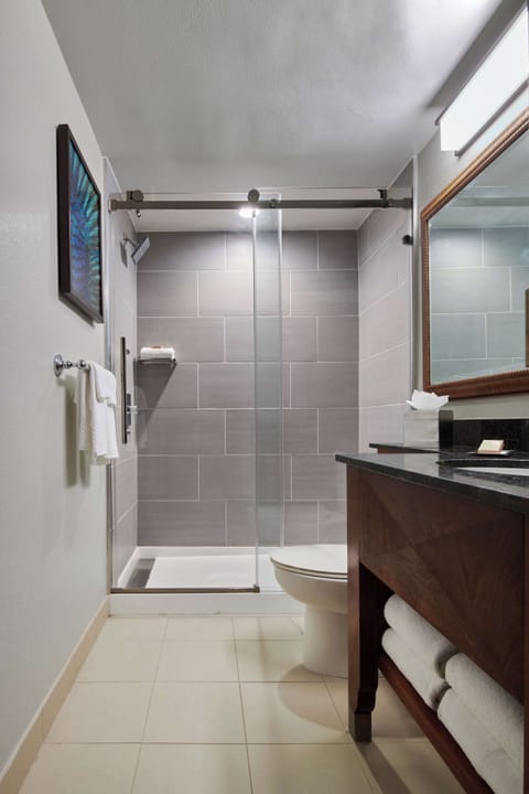 Combined shower/tub, hair dryer, towels