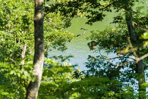 Enjoy lake views from our sprawling, private deck.