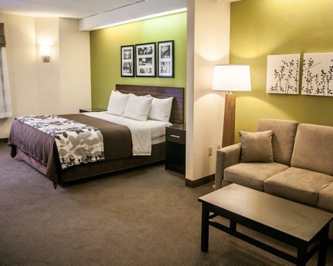 Suite, 1 King Bed with Sofa bed, Accessible, Non Smoking | In-room safe, desk, blackout drapes, iron/ironing board