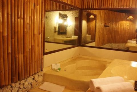 Duplex (Duplex Suite) | Bathroom | Combined shower/tub, free toiletries, hair dryer, towels