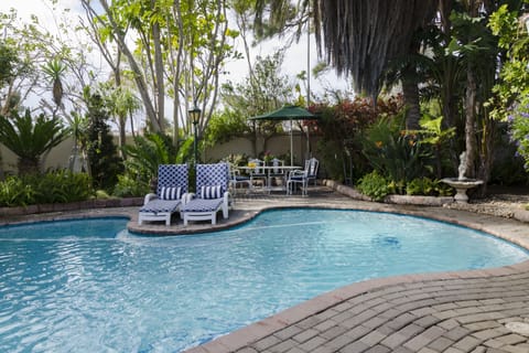 Outdoor pool, sun loungers