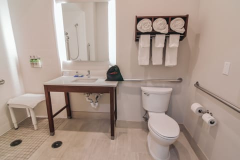 Standard Room, 1 King Bed, Accessible (Communications, Roll-In Shower) | Bathroom | Combined shower/tub, hydromassage showerhead, free toiletries