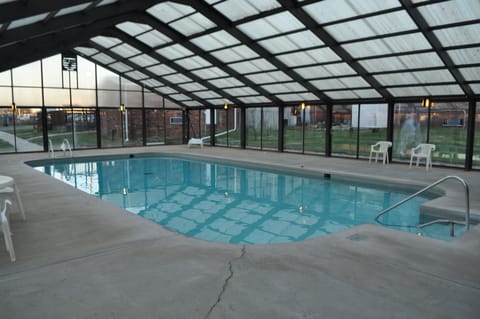 Indoor pool, sun loungers