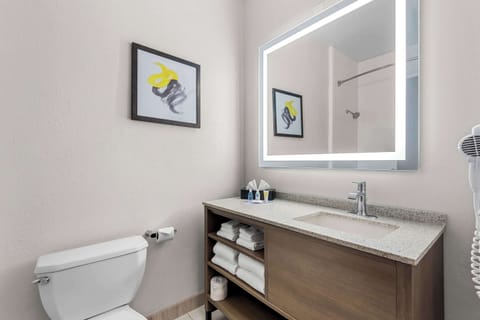 Combined shower/tub, free toiletries, hair dryer, towels