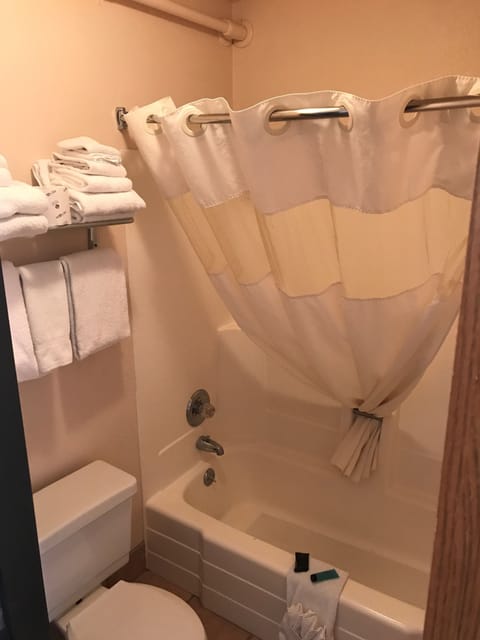 Combined shower/tub, free toiletries, hair dryer, towels