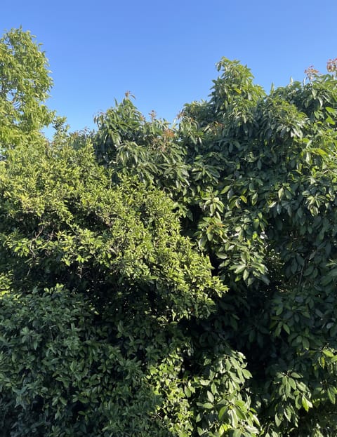 View from big bedroom