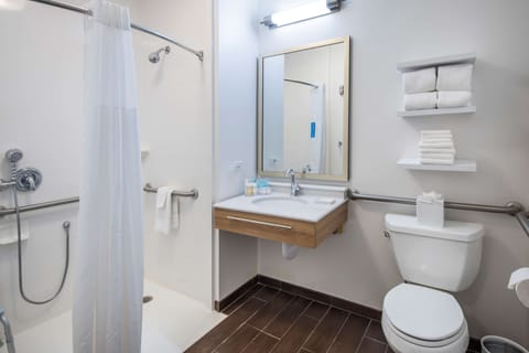 Room, 1 King Bed, Accessible, Non Smoking | Bathroom shower