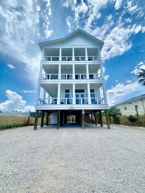 Angelfish on Okaloosa Island