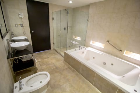 Suite (Master) | Bathroom | Hair dryer, towels, shampoo