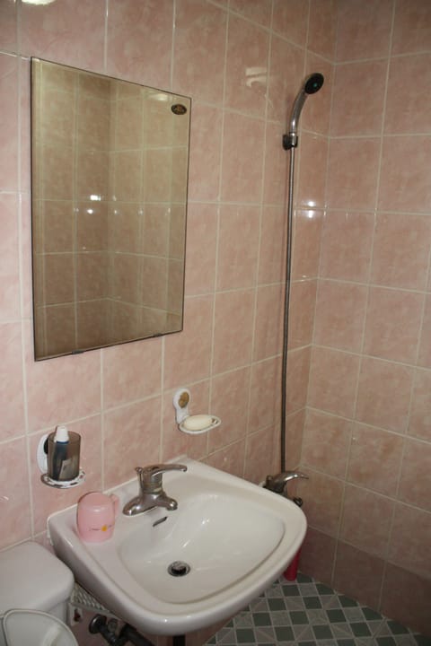 Standard Double Room | Bathroom | Shower, free toiletries, hair dryer, slippers