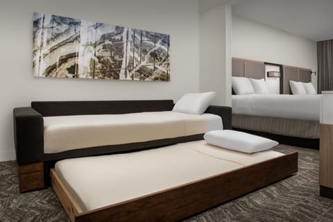 Premium bedding, down comforters, in-room safe, desk