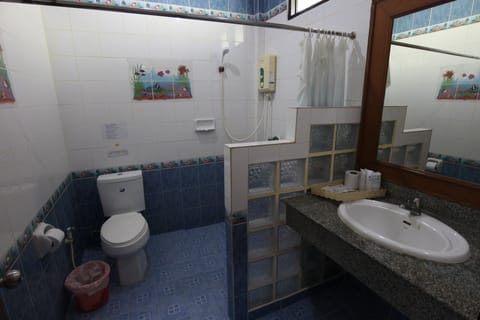 Deluxe Room | Bathroom | Shower, free toiletries