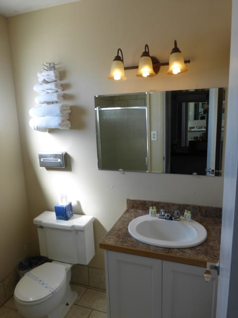 Room, 2 Queen Beds | Bathroom | Combined shower/tub, hair dryer, towels