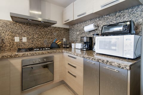 Deluxe Apartment | Private kitchen | Full-size fridge, microwave, coffee/tea maker, blender