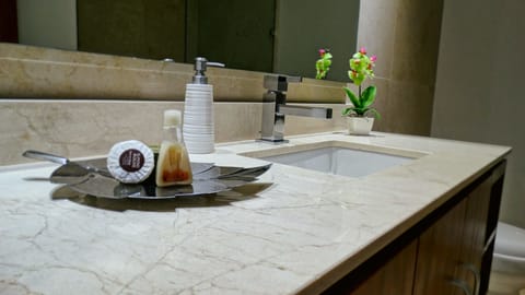 Terrazas 107 Luxury | Bathroom sink