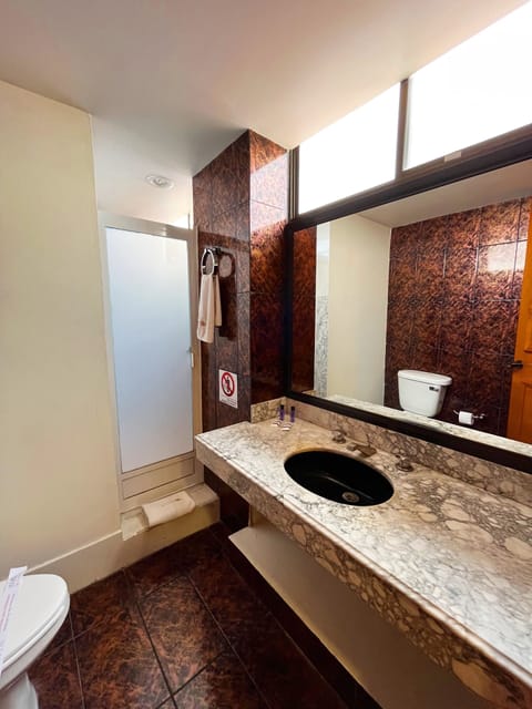 Family Room | Bathroom | Shower, free toiletries, hair dryer, towels