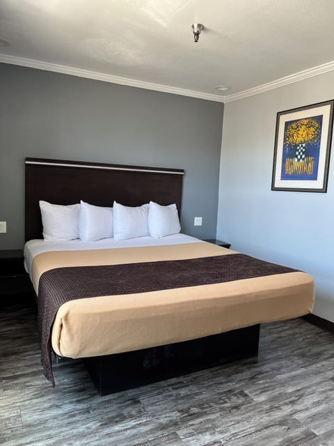 Deluxe Room, 1 King Bed, Non Smoking | Blackout drapes, soundproofing, iron/ironing board, free WiFi