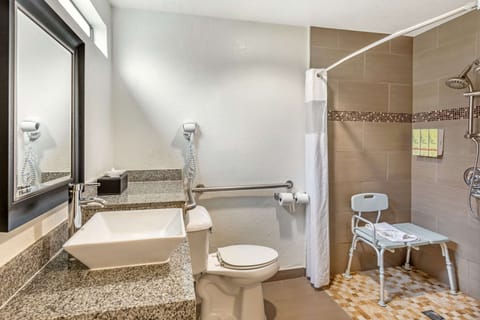 Standard Room, 1 King Bed, Accessible, Non Smoking | Bathroom | Combined shower/tub, hydromassage showerhead, free toiletries