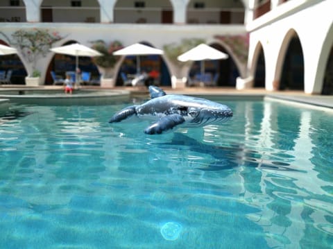 Outdoor pool, sun loungers