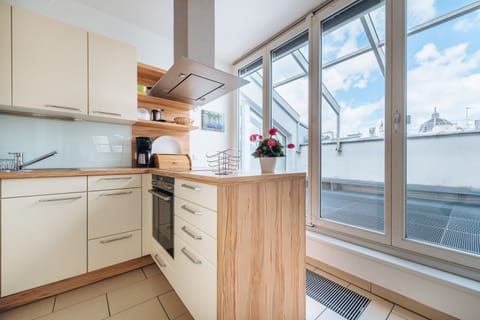 Apartment, 4 Bedrooms, 2 Bathrooms, City View (Mozartblick I - Opernring 23) | Private kitchen | Full-size fridge, microwave, stovetop, dishwasher