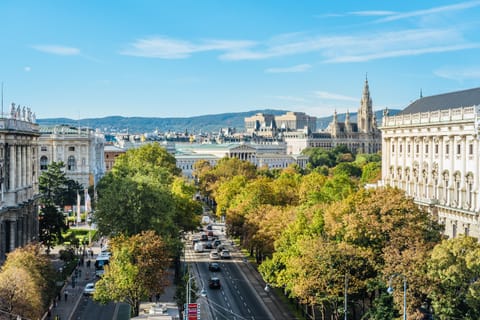 Rooftop Three Bedroom Apartment - (Opernring 23)	 | View from room