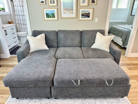 Chaise couch pulls out into full size bed.