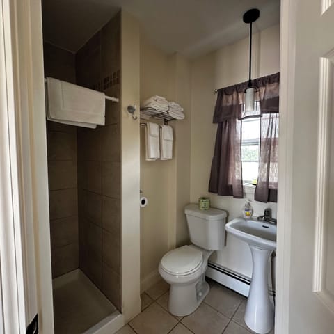 Queen Suite | Bathroom | Free toiletries, hair dryer, towels