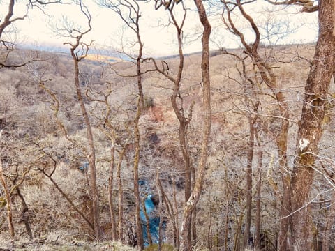 The four waterfalls walk in Brecon is a great day out.