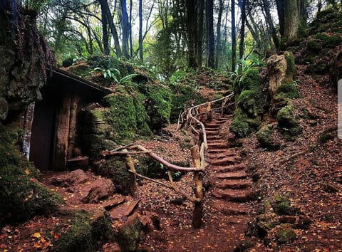 Puzzlewood is a great place to visit, Star wars was filmed there!