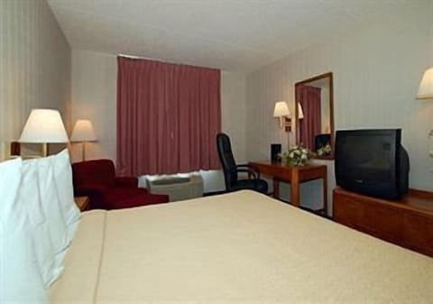 Single Queen Room | Blackout drapes, free WiFi, bed sheets, alarm clocks
