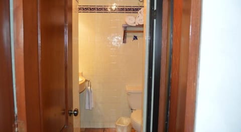 Suite (Master Suite) | Bathroom | Shower, free toiletries, hair dryer, towels