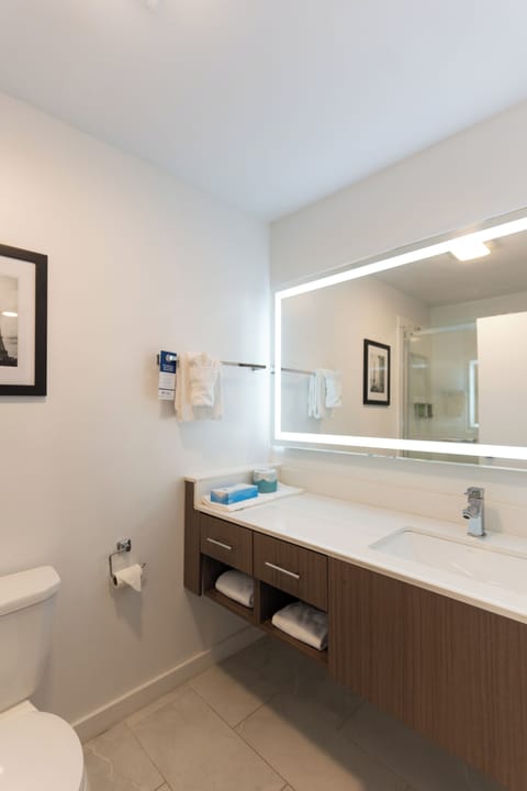 Deluxe Single Room | Bathroom | Shower, free toiletries, hair dryer, towels