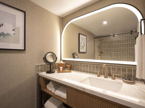 Shower, rainfall showerhead, designer toiletries, hair dryer