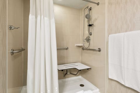Room, Accessible, Non Smoking | Bathroom shower