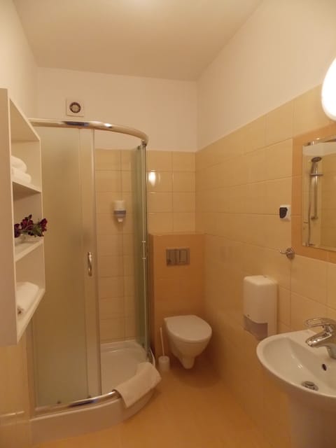 Single Room | Bathroom | Shower, hair dryer, towels