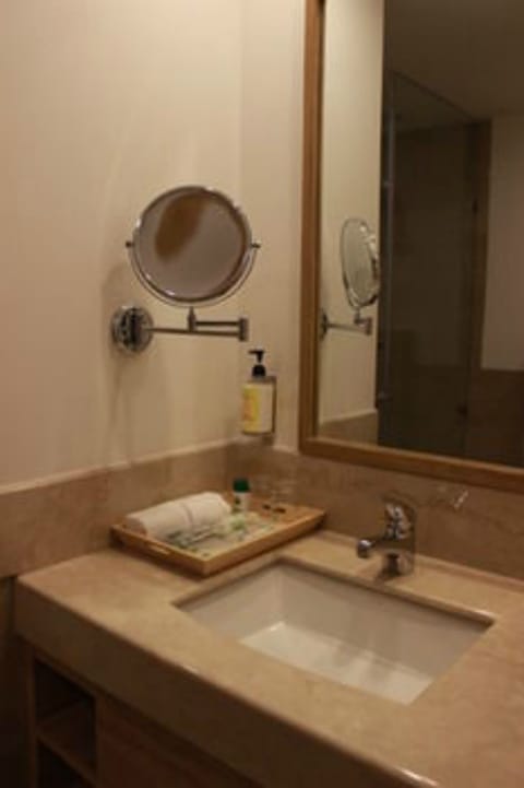 Business Room | Bathroom | Shower, free toiletries, hair dryer, bathrobes