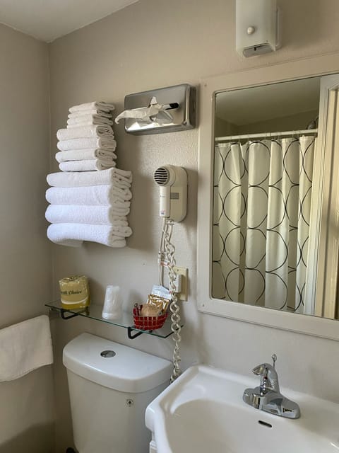 Standard Room, 2 Double Beds | Bathroom | Shower, free toiletries, hair dryer, towels